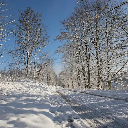 Welcome In - Mountain Escape 66 - Komfort & Aussicht - Niedersfeld Винтерберг