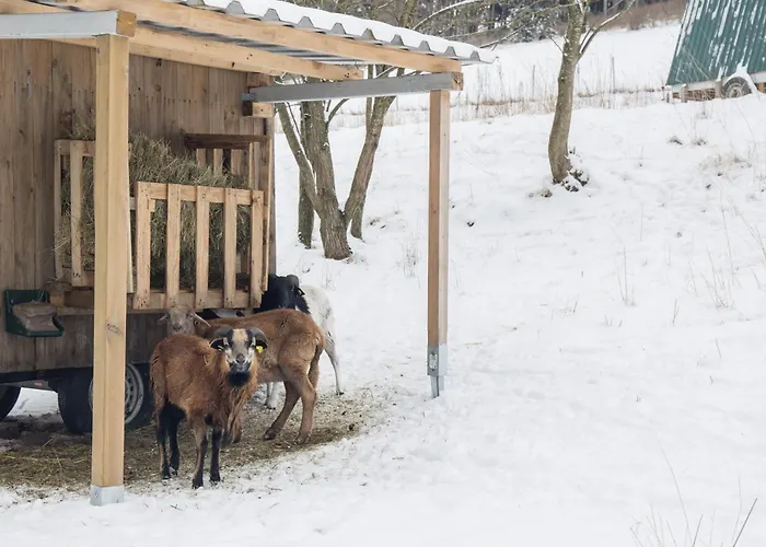 Mountain Escape 66 - Comfort & Uitzicht | Am Bergelchen 66 Niedersfeld Сasa de vacaciones