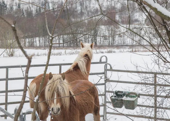 Mountain Escape 66 - Comfort & Uitzicht | Am Bergelchen 66 Niedersfeld Сasa de vacaciones Winterberg